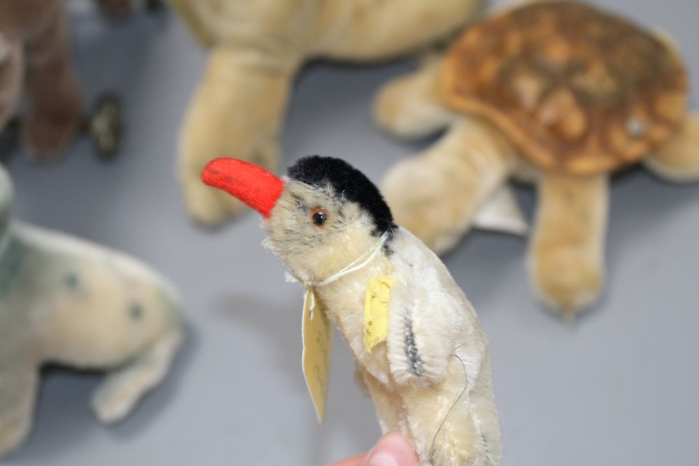 A 1960s Steiff Robby sea lion, another similar larger sea lion, a penguin, a turtle and a more recent bear on wheels